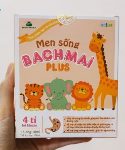 men-song-bach-mai-Plus-chinh-hang