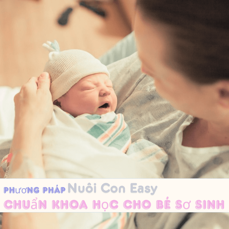 Phương Pháp Nuôi Con Easy Chuẩn Khoa Học Cho Bé Sơ Sinh – Giải Pháp Nhàn Tênh Cho Cha Mẹ Hiện Đại