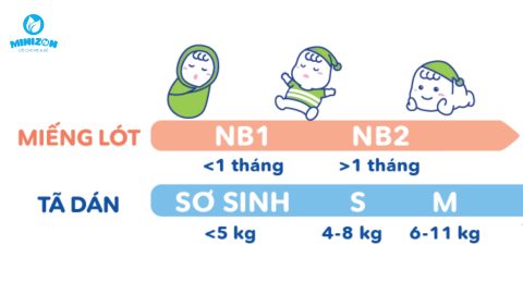 Cách chọn size bỉm chuẩn chỉnh cho bé theo cân nặng và độ tuổi